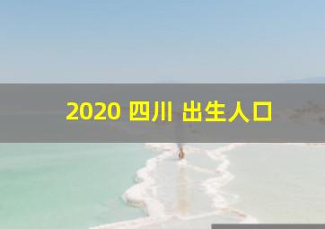 2020 四川 出生人口